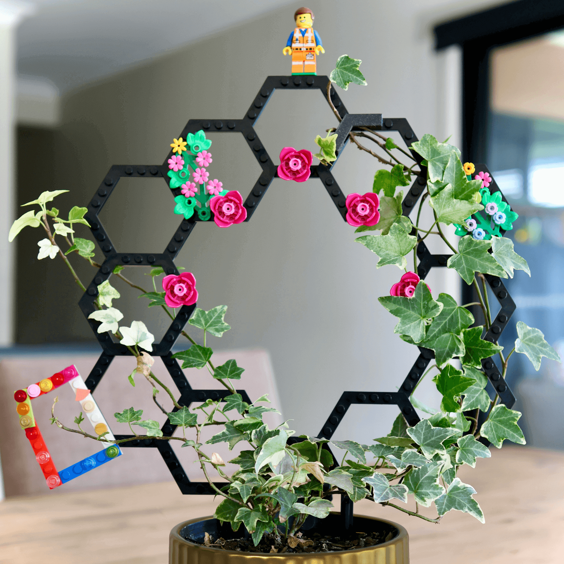 Plant supported on Vertigrow modular plant trellis built from Get Growing Bundle