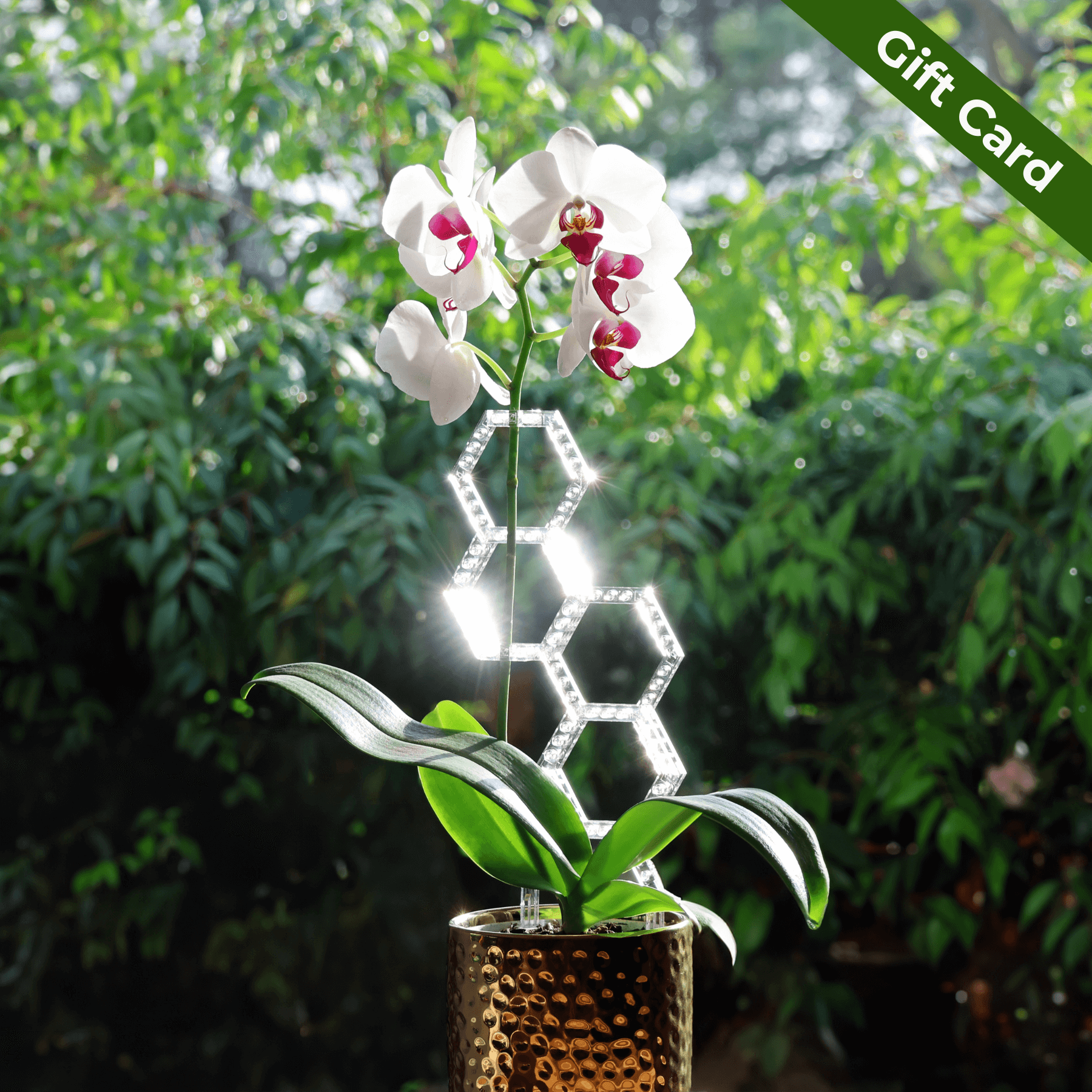 Vertigrow digital gift card for plant lovers, redeemable on modular trellises, accessories, and plant support systems, perfect for birthdays, holidays, or last-minute gifting