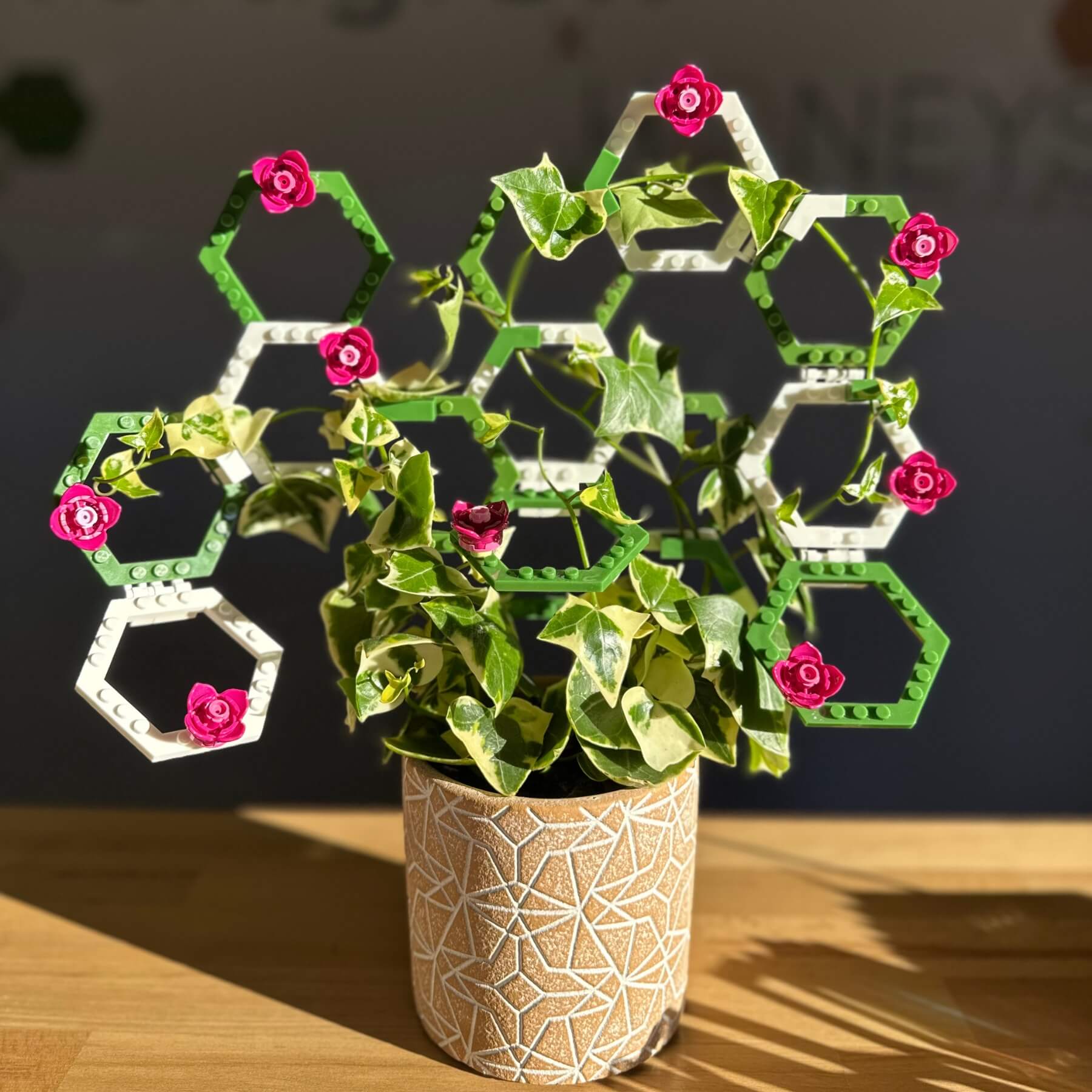 Get Growing Bundle - Complete Plant Support Starter + Expansion