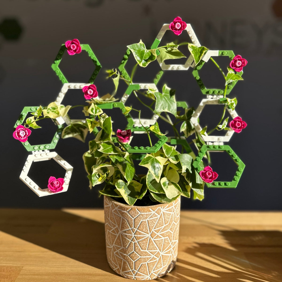 Vertigrow