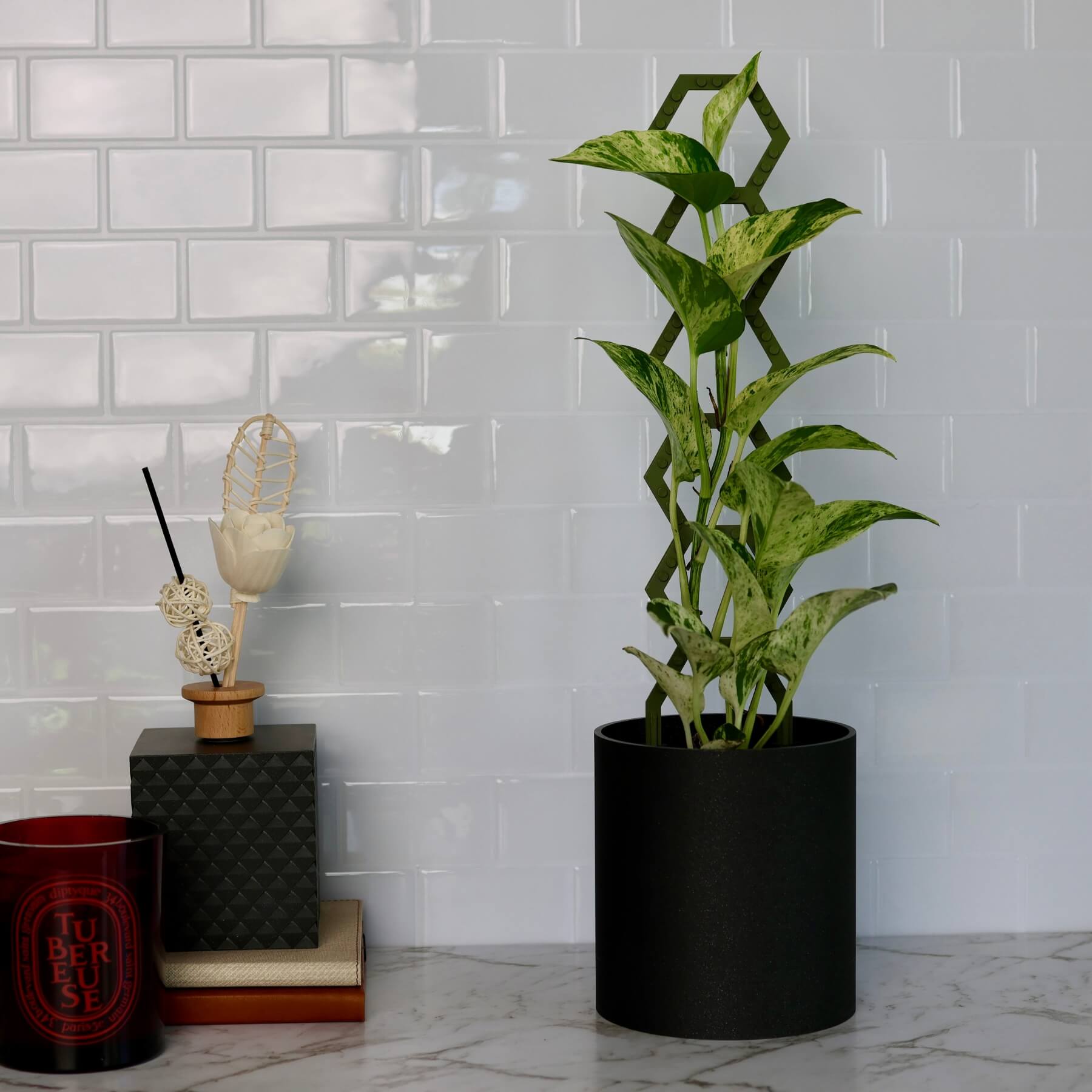 Vertigrow Starter Kit in Green supporting climbing plant in pot