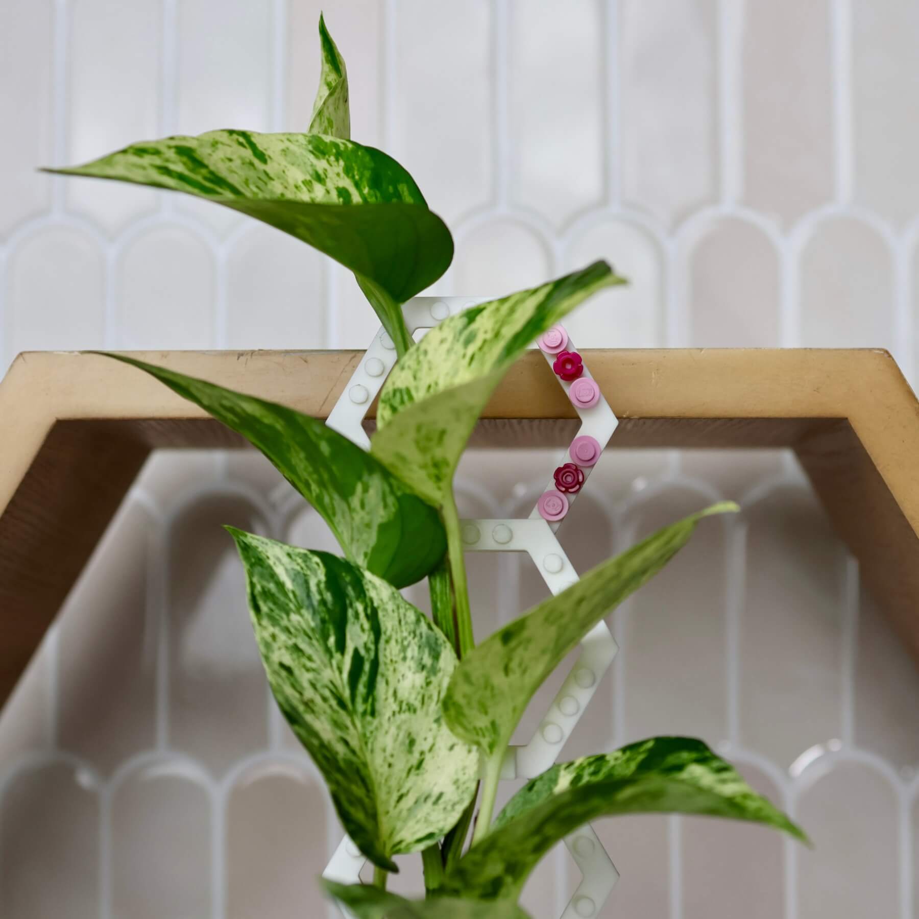 Close-up of Vertigrow Starter Kit in White showing finish detail