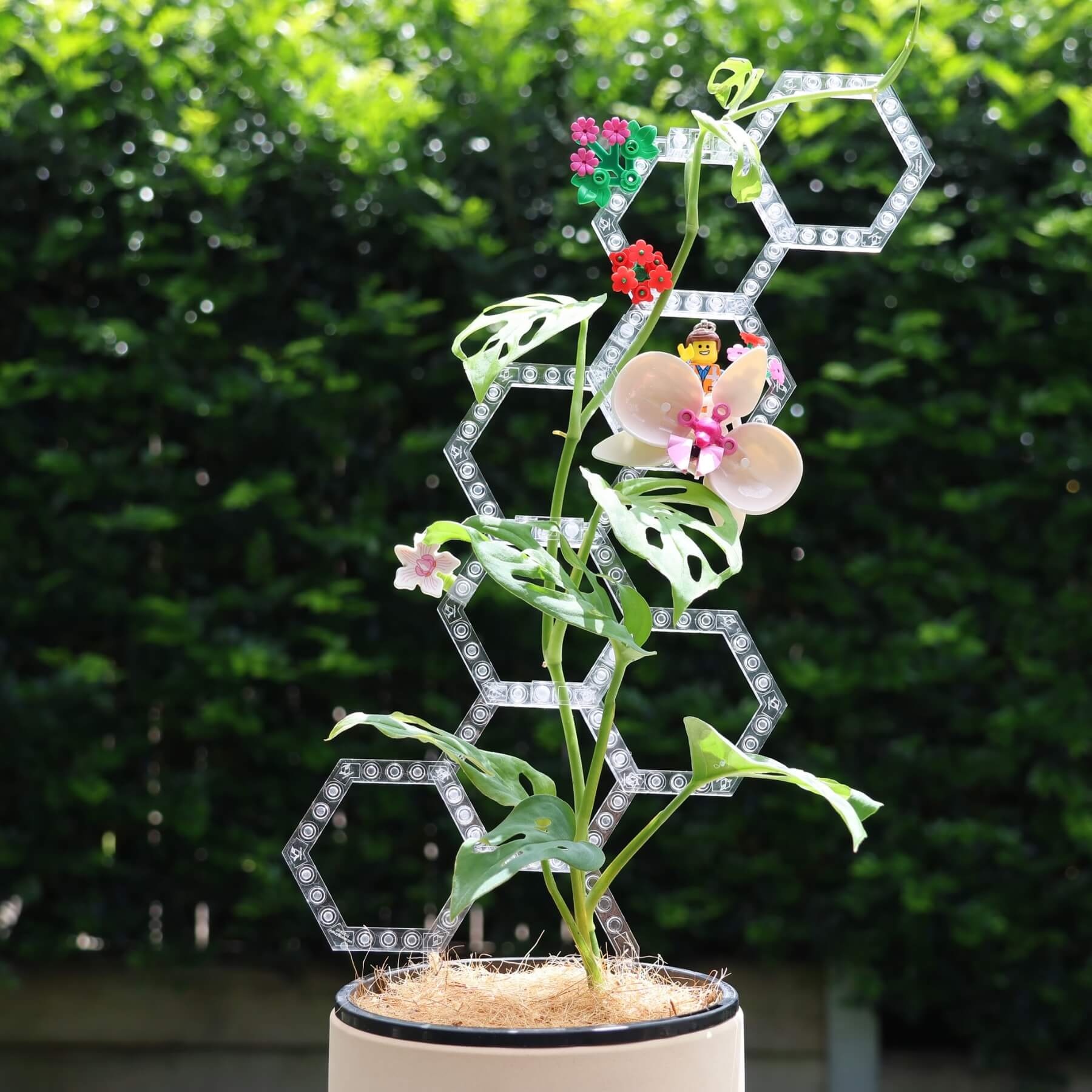 Snap-together hexagons of Vertigrow Starter Kit for custom plant trellis