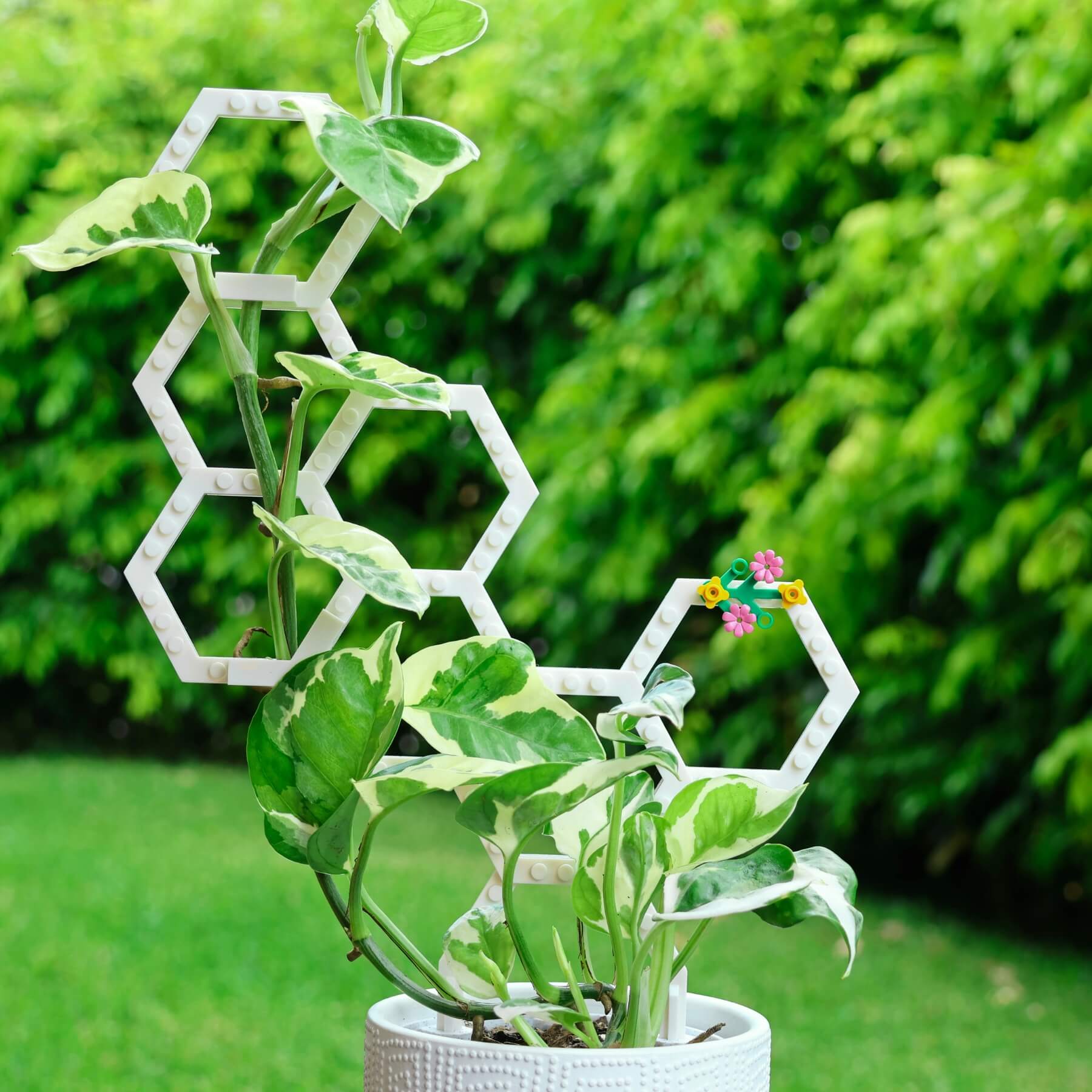 LEGO-compatible Vertigrow modular trellis supporting indoor plant stems